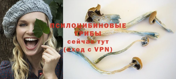 спиды Алзамай